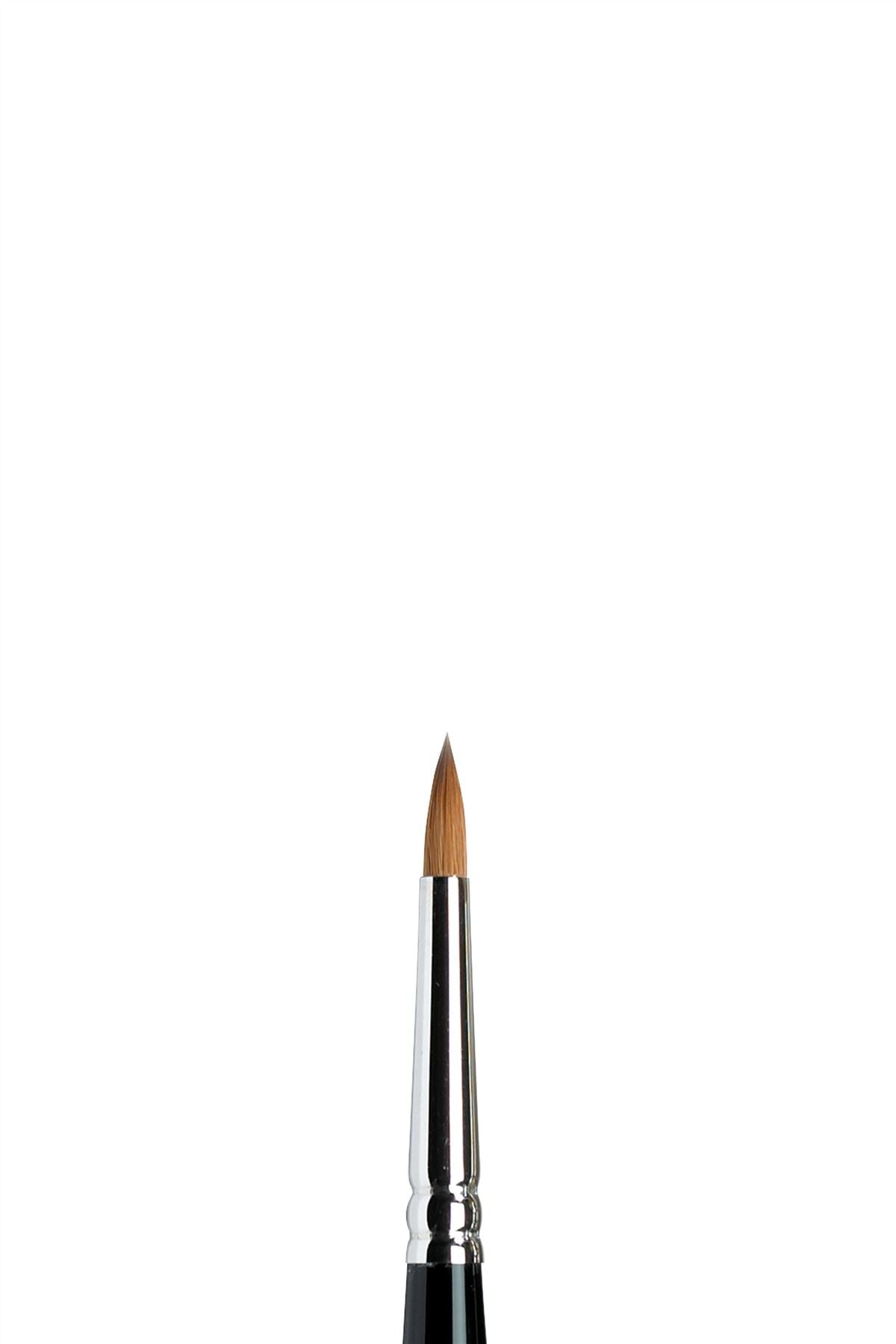 Winsor & Newton Sable Series 7 Brush - All Sizes