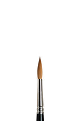 Winsor & Newton Sable Series 7 Brush - All Sizes