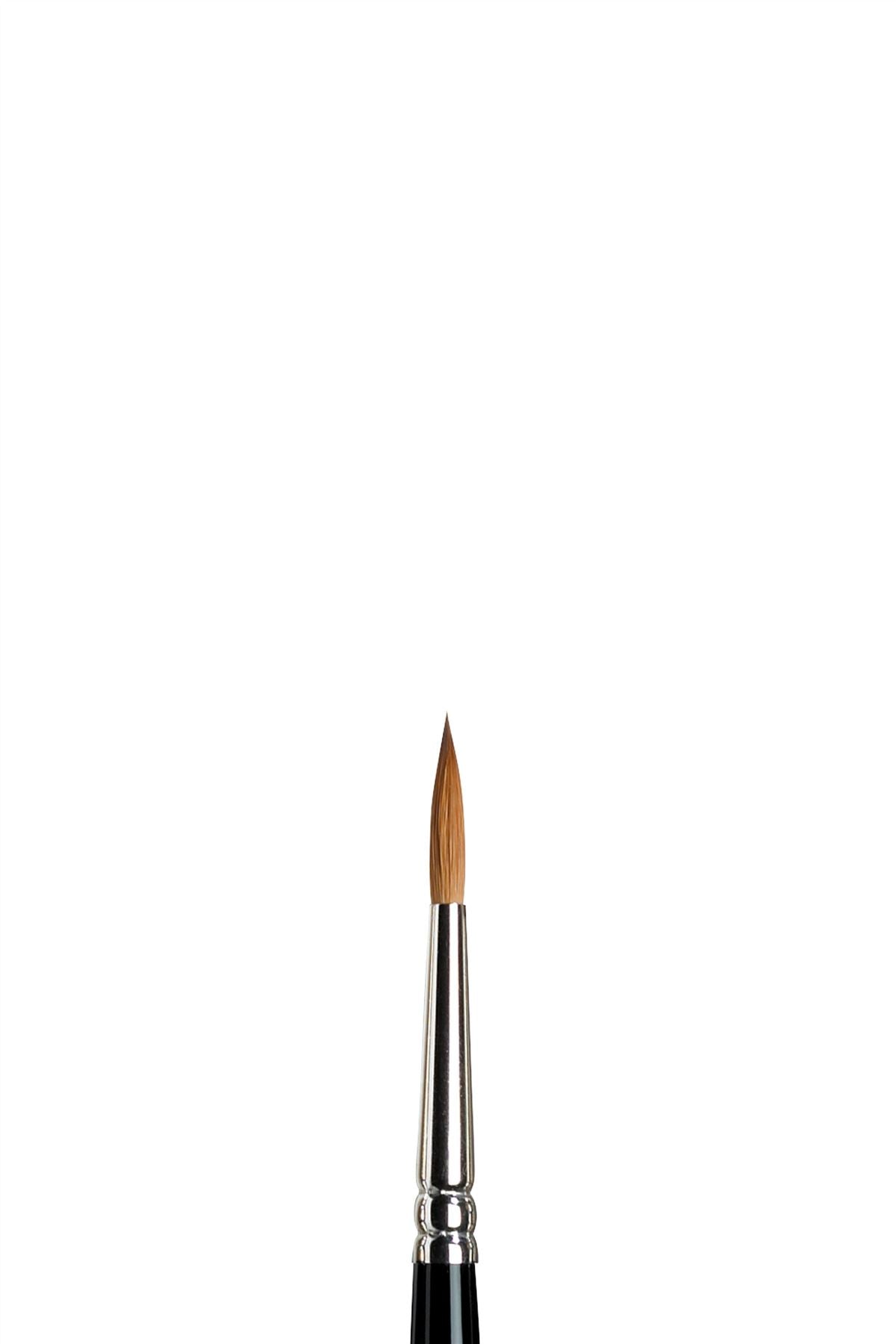 Winsor & Newton Sable Series 7 Brush - All Sizes