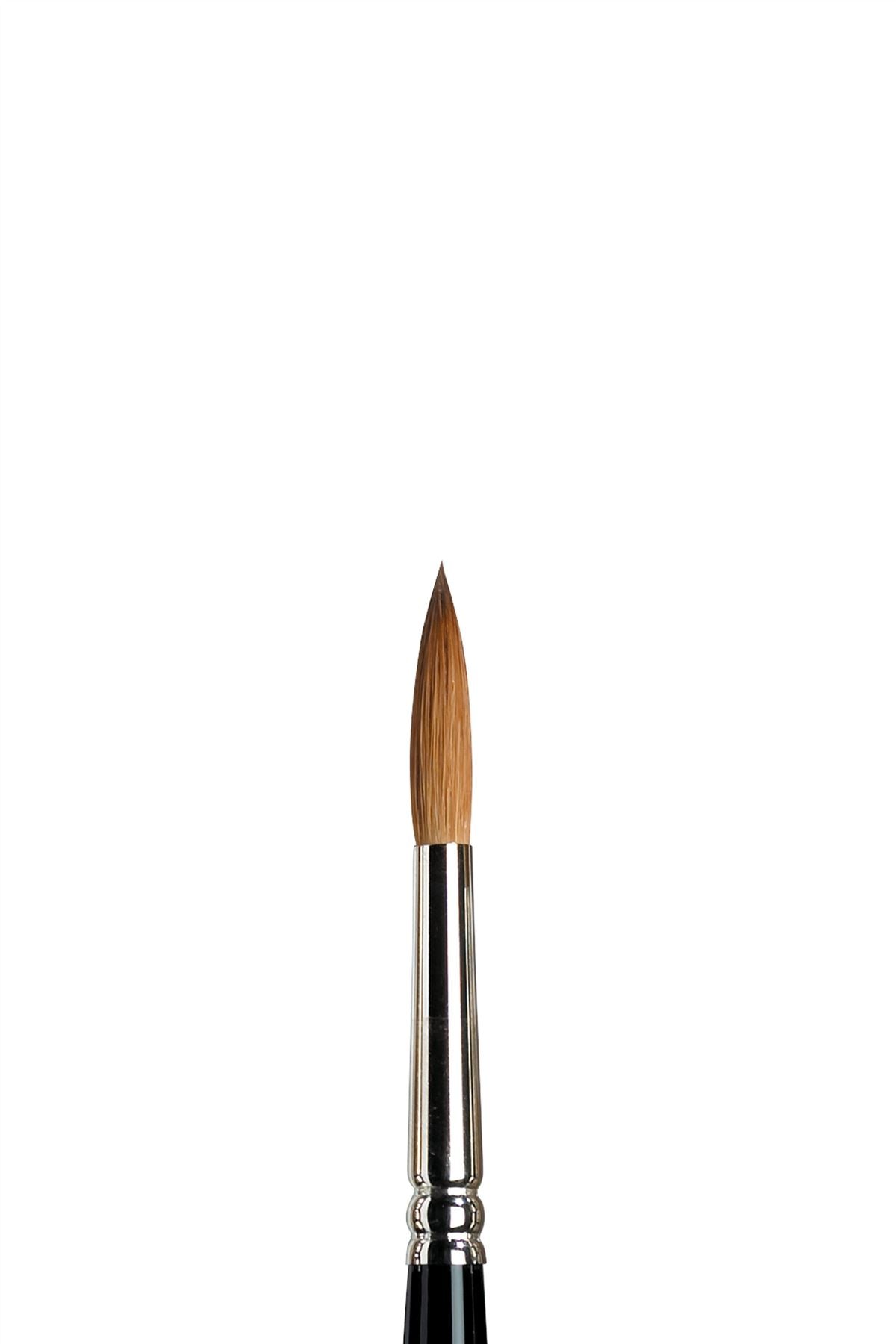 Winsor & Newton Sable Series 7 Brush - All Sizes