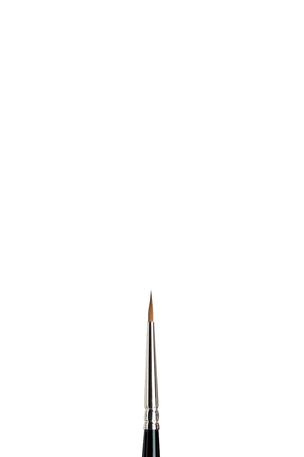 Winsor & Newton Sable Series 7 Brush - All Sizes