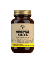 Solgar Vegetal Silica - 100 Vegicaps