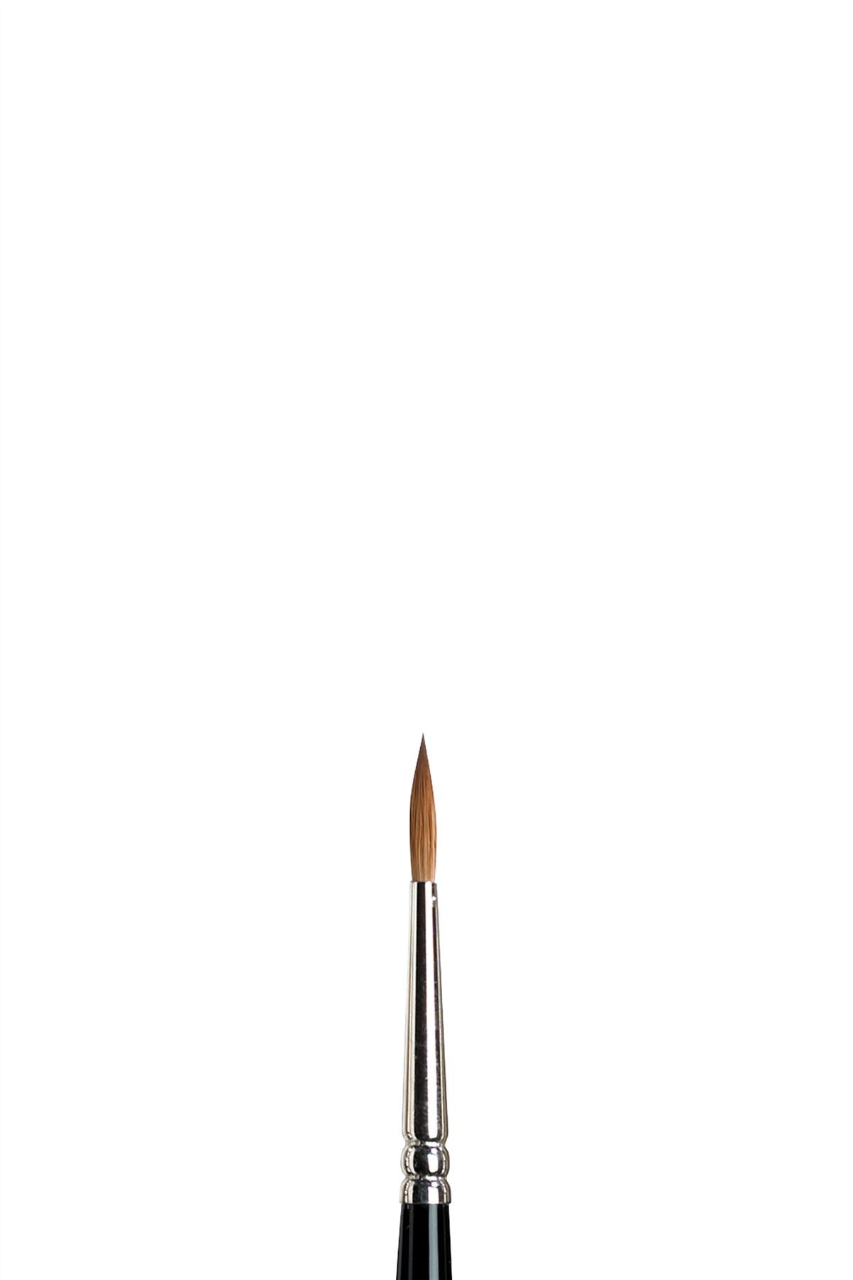 Winsor & Newton Sable Series 7 Brush - All Sizes