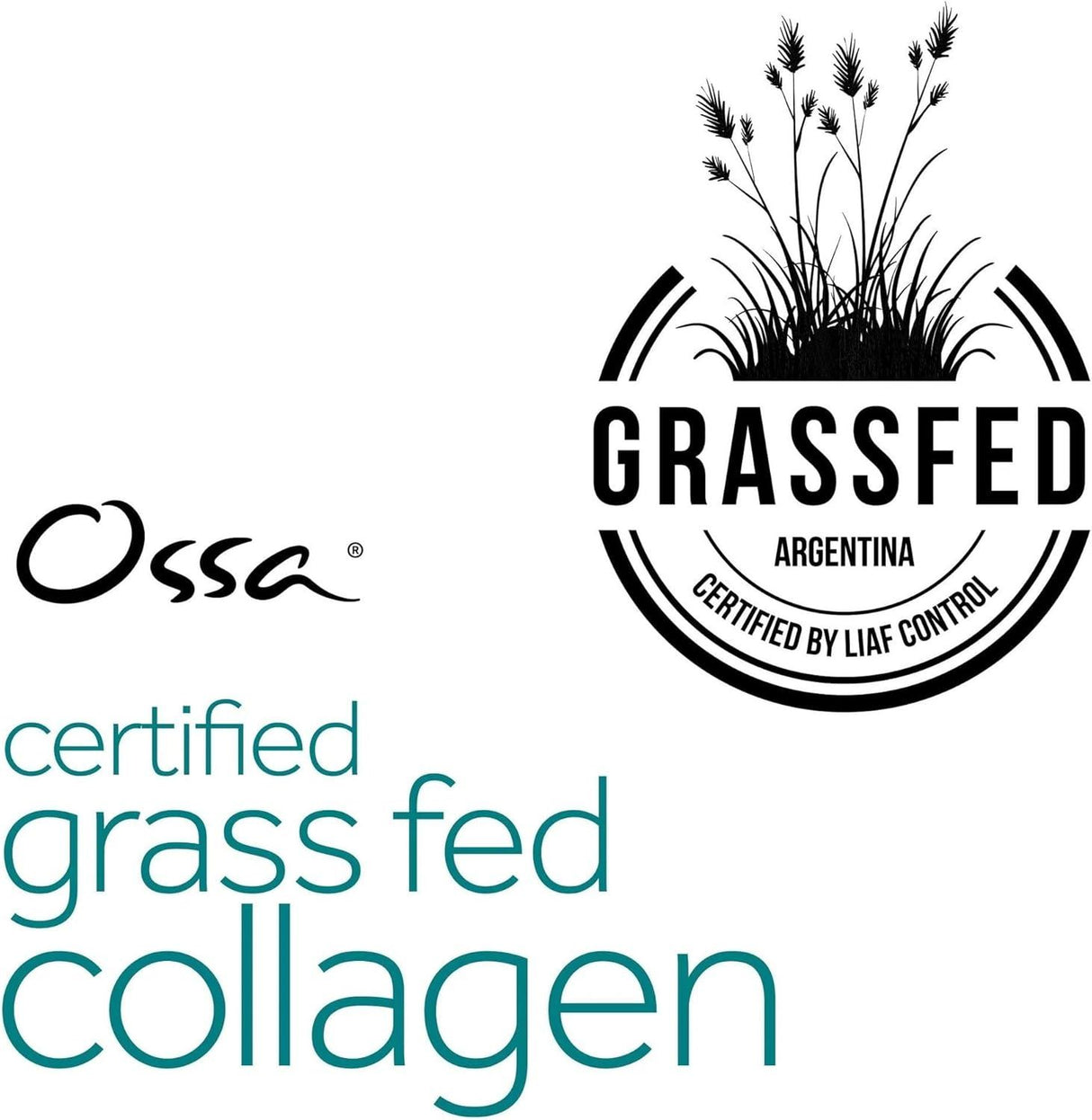 Ossa Organic Certified Grass Fed Collagen Peptides - 400g