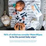 WaterWipes Baby Wipes - 1 Pack of 60 Wet Wipes