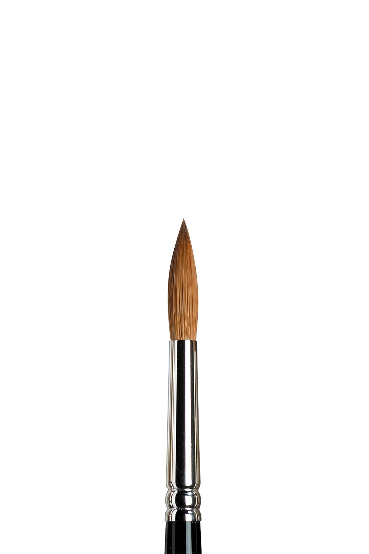 Winsor & Newton Sable Series 7 Brush - All Sizes