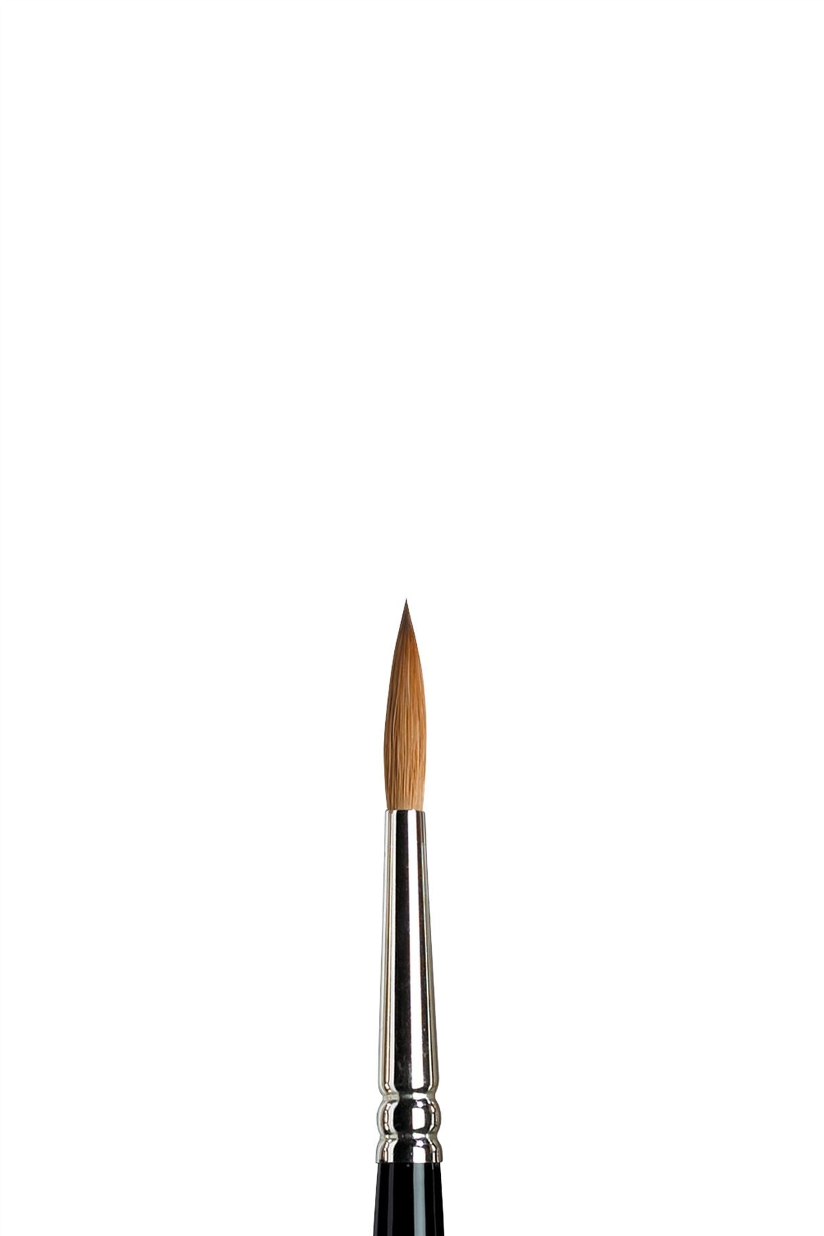 Winsor & Newton Sable Series 7 Brush - All Sizes