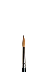 Winsor & Newton Sable Series 7 Brush - All Sizes